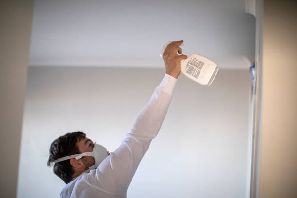 Best Toxic Mold Removal  in Valrico, FL